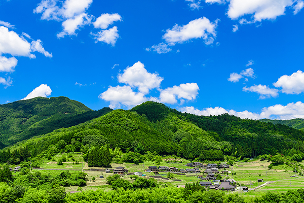 不動産処分に困る土地や建物