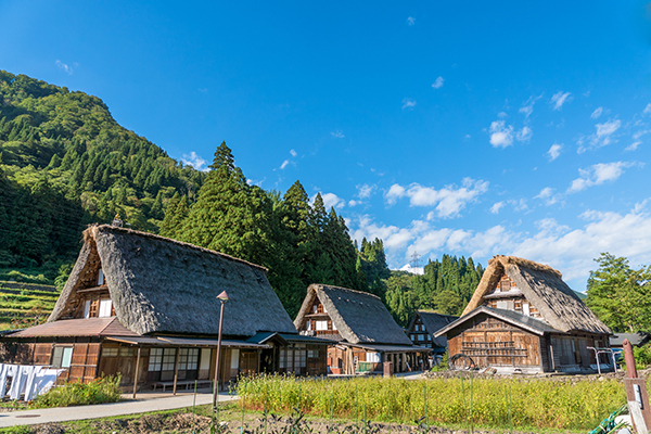 不動産処分に困る土地や建物