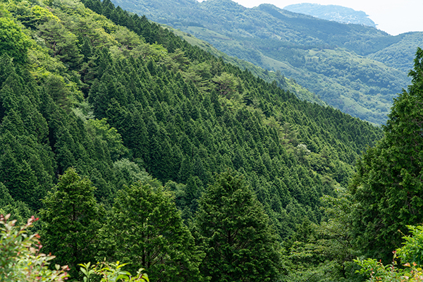 不動産処分に困る土地や建物